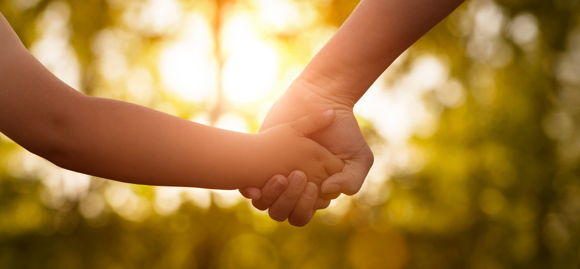 Capacité de recevoir une libéralité pour les parents du défunt